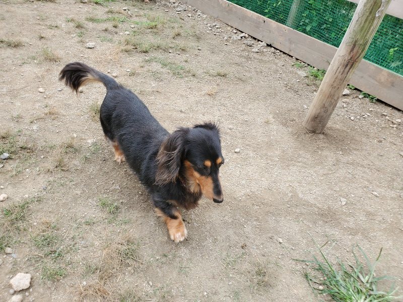 f:id:roukenhome-ann:20191002184440j:plain