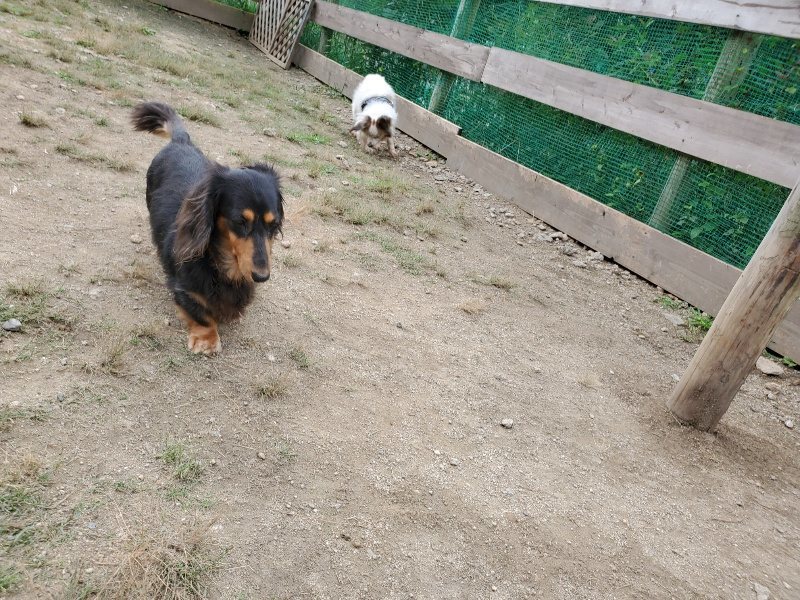 f:id:roukenhome-ann:20191002184453j:plain