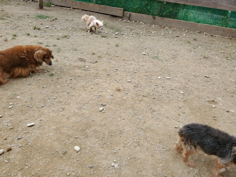 f:id:roukenhome-ann:20191002184950j:plain