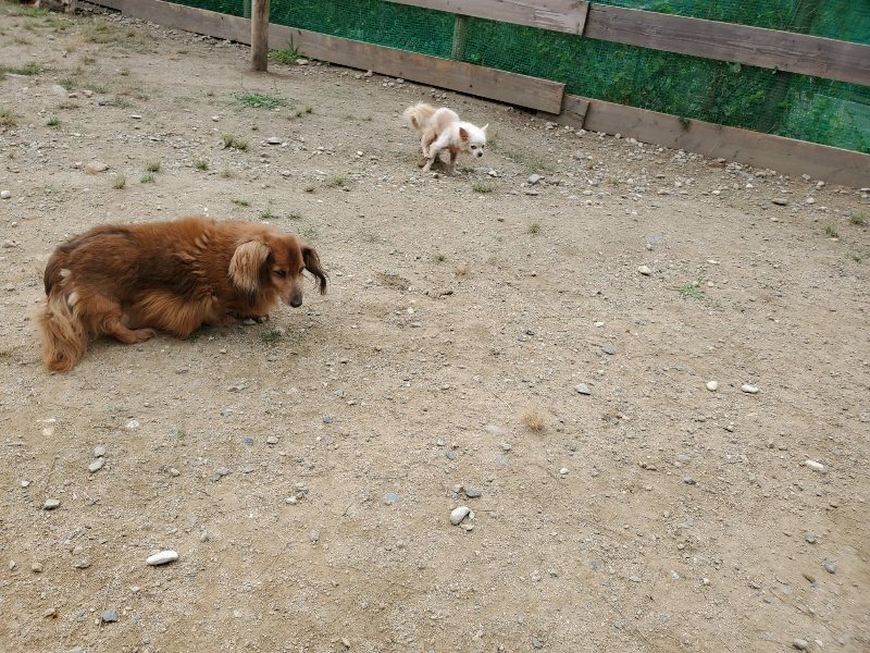 f:id:roukenhome-ann:20191002185003j:plain