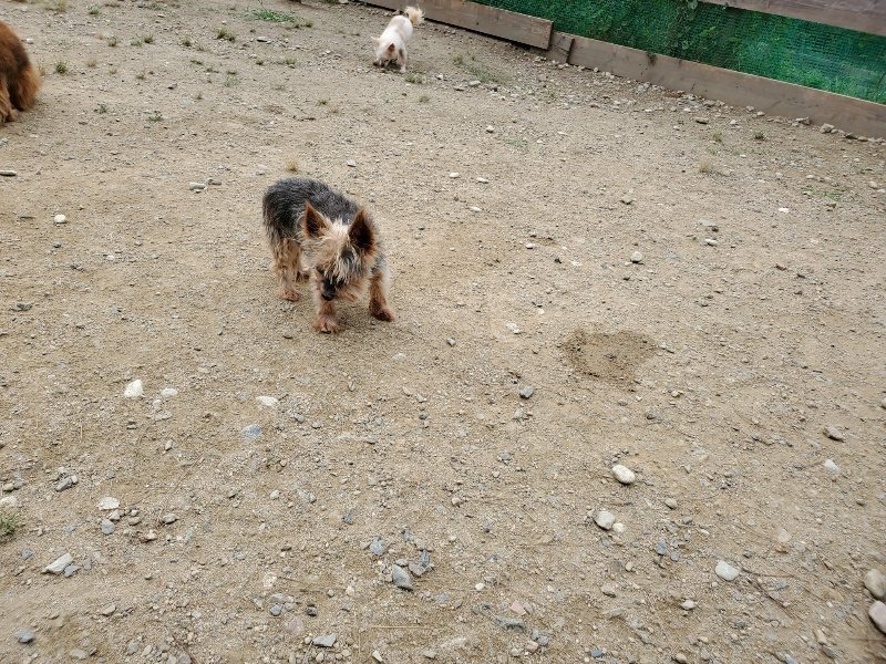 f:id:roukenhome-ann:20191002185024j:plain
