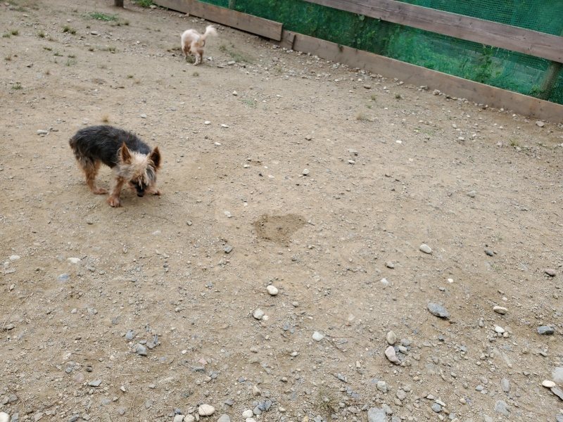 f:id:roukenhome-ann:20191002185030j:plain