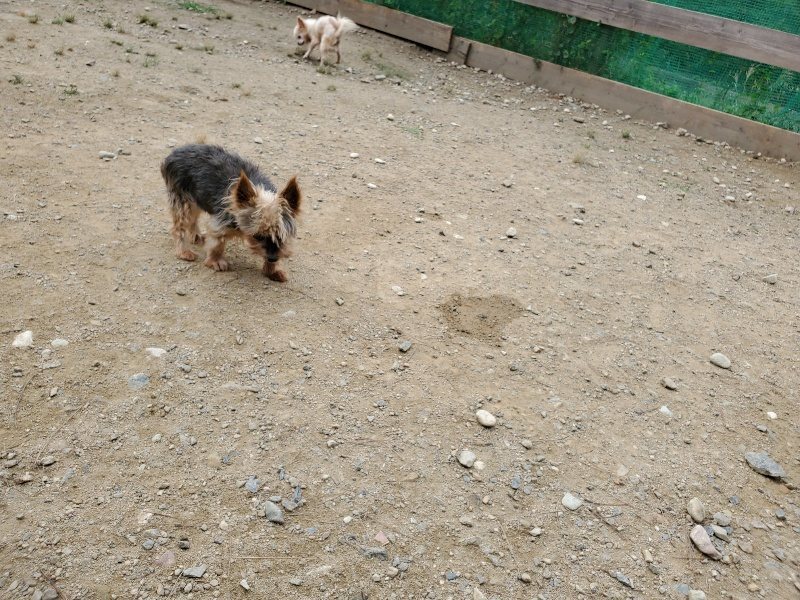 f:id:roukenhome-ann:20191002185047j:plain