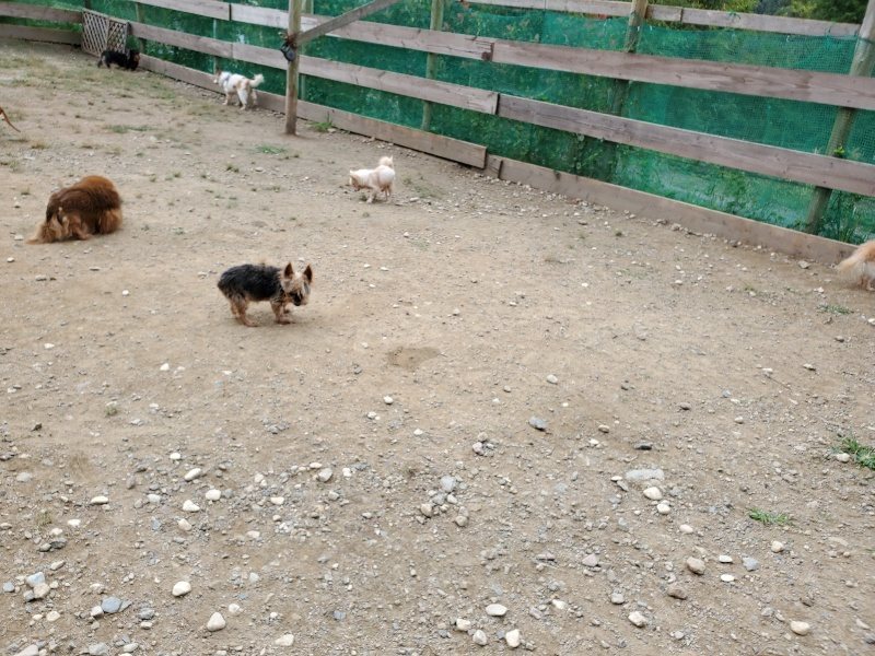 f:id:roukenhome-ann:20191002185100j:plain