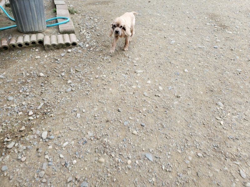 f:id:roukenhome-ann:20191002185146j:plain