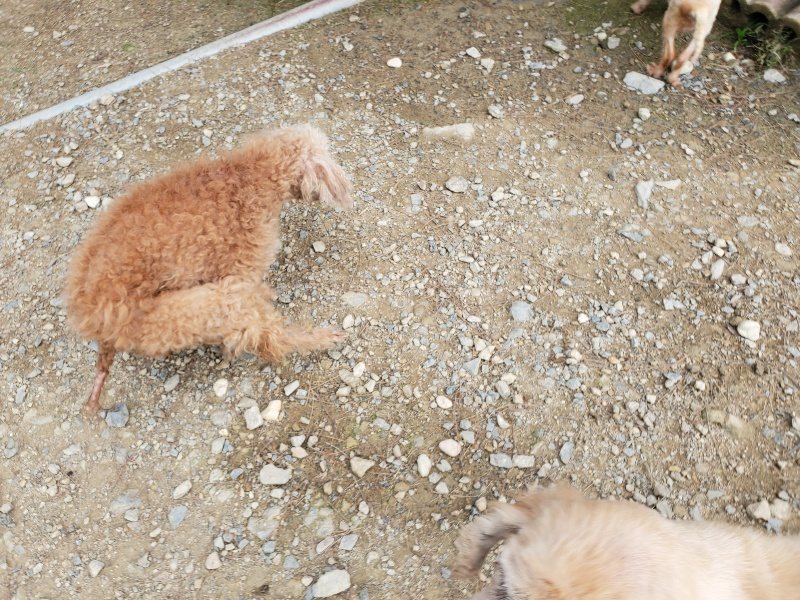 f:id:roukenhome-ann:20191002185202j:plain