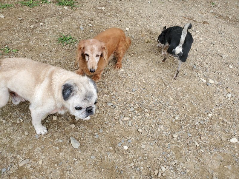 f:id:roukenhome-ann:20191002185241j:plain