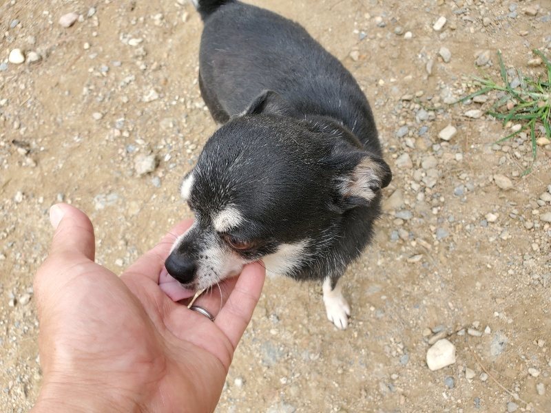 f:id:roukenhome-ann:20191002185303j:plain