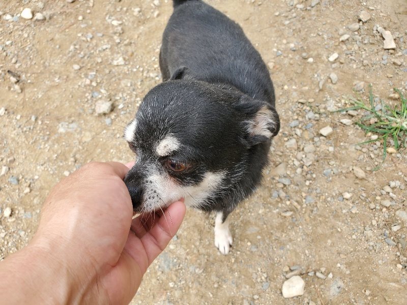 f:id:roukenhome-ann:20191002185316j:plain