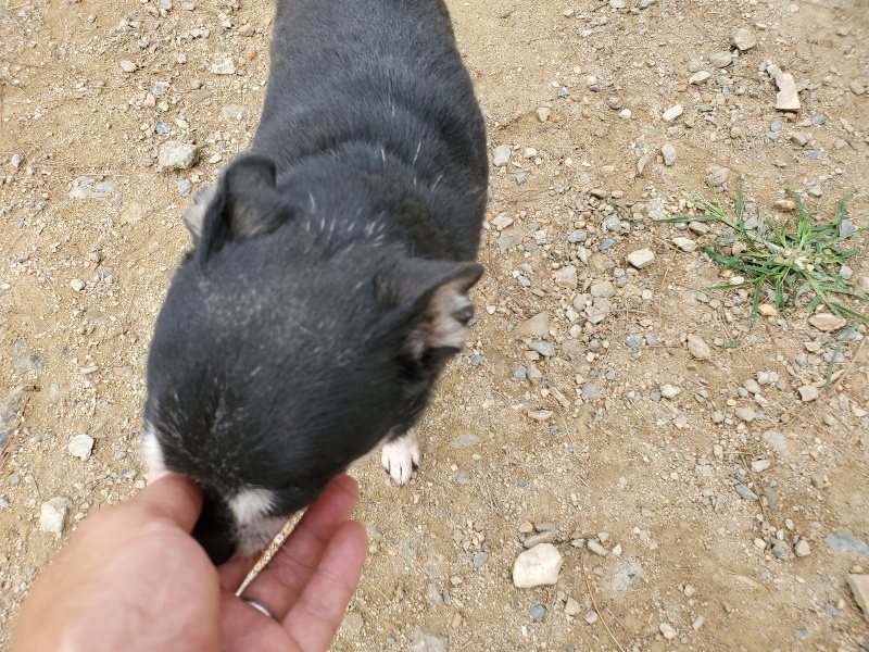 f:id:roukenhome-ann:20191002185326j:plain