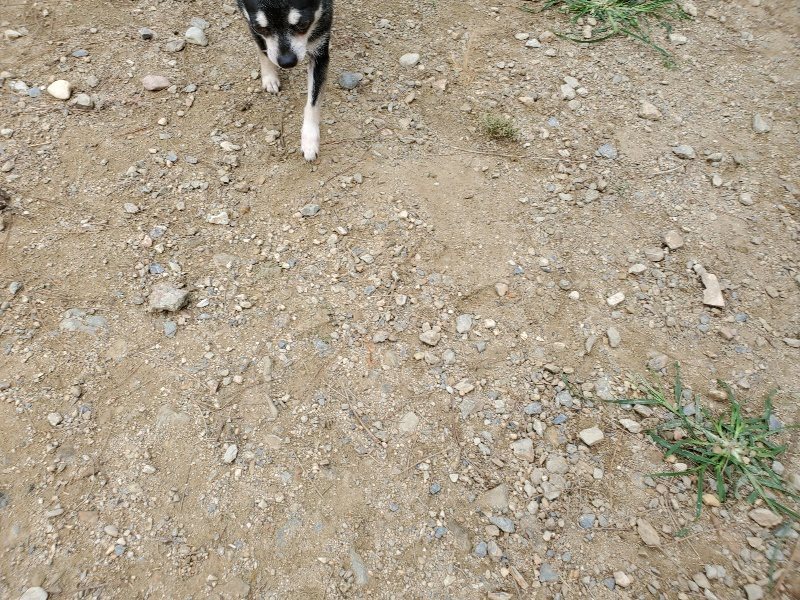 f:id:roukenhome-ann:20191002204601j:plain