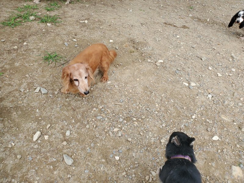 f:id:roukenhome-ann:20191002205648j:plain