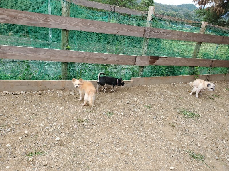 f:id:roukenhome-ann:20191002210737j:plain
