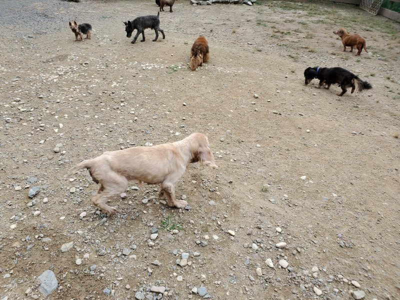 f:id:roukenhome-ann:20191002210848j:plain