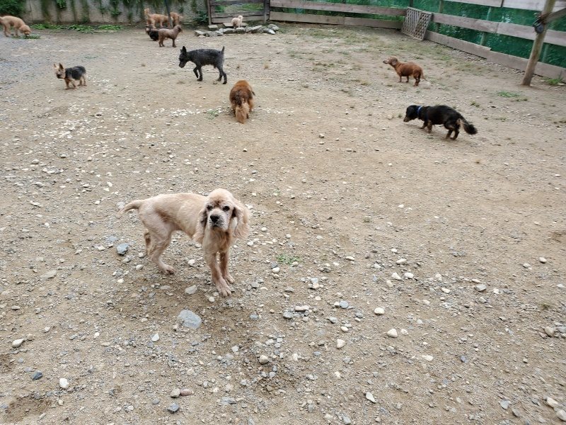 f:id:roukenhome-ann:20191002210957j:plain
