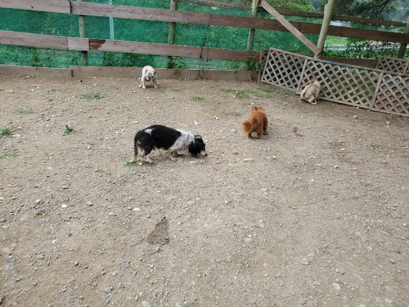 f:id:roukenhome-ann:20191002211112j:plain