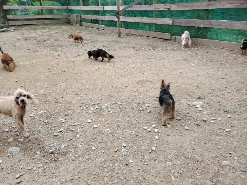f:id:roukenhome-ann:20191002211310j:plain