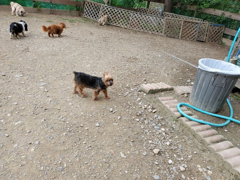f:id:roukenhome-ann:20191002211451j:plain