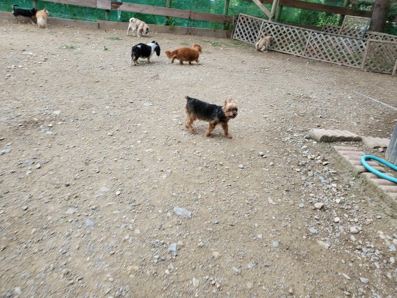 f:id:roukenhome-ann:20191002211717j:plain
