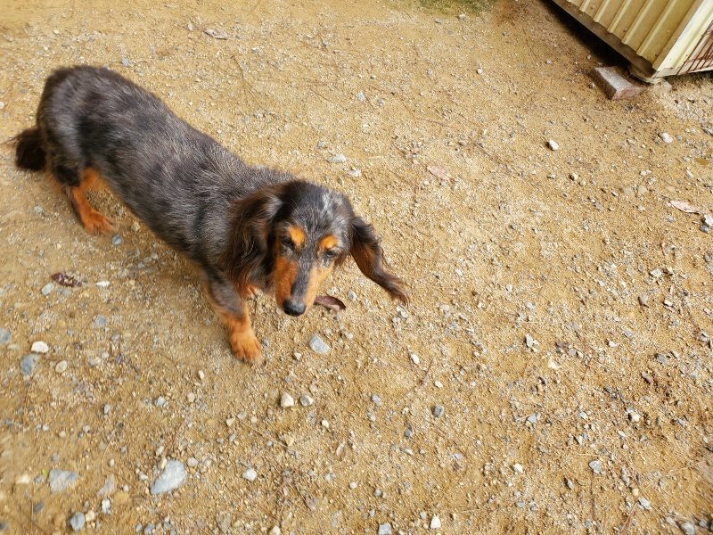 f:id:roukenhome-ann:20191002214139j:plain