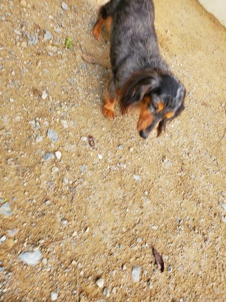 f:id:roukenhome-ann:20191002214232j:plain