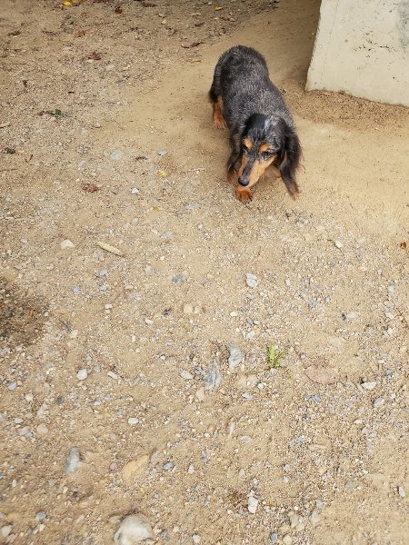 f:id:roukenhome-ann:20191002214538j:plain