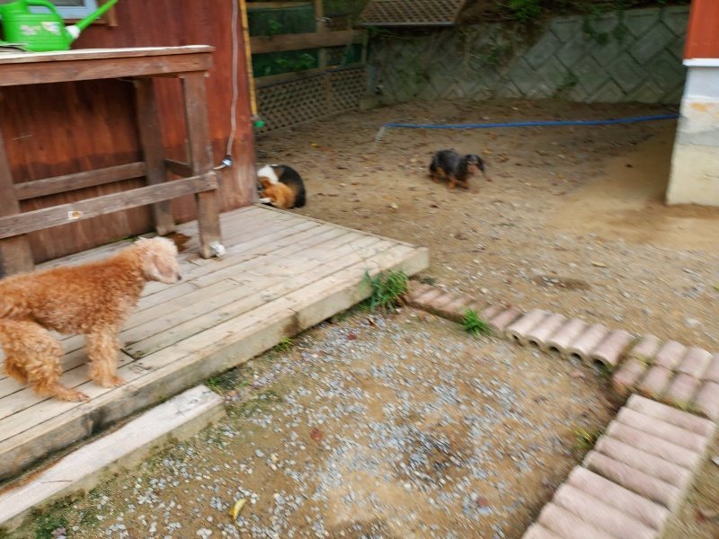 f:id:roukenhome-ann:20191002215007j:plain