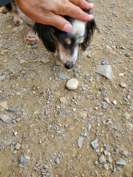 f:id:roukenhome-ann:20191002215819j:plain