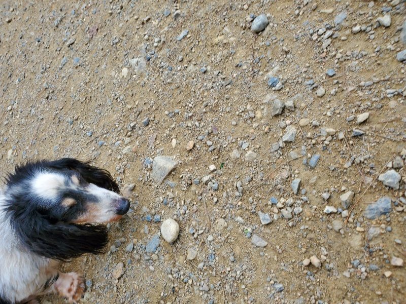f:id:roukenhome-ann:20191002215943j:plain