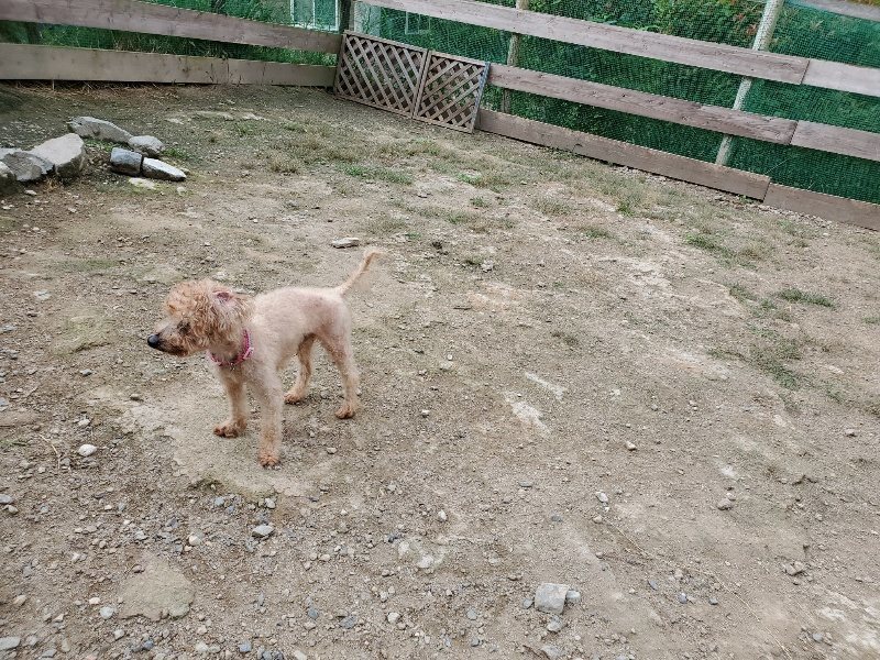 f:id:roukenhome-ann:20191002221458j:plain