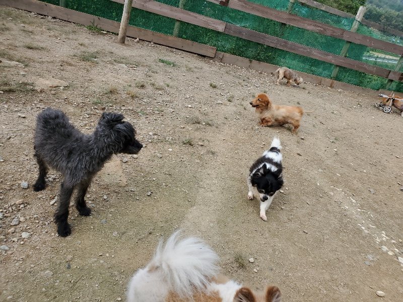 f:id:roukenhome-ann:20191002221504j:plain
