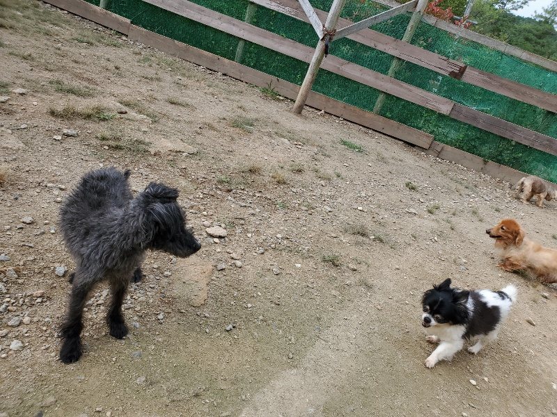 f:id:roukenhome-ann:20191002221510j:plain