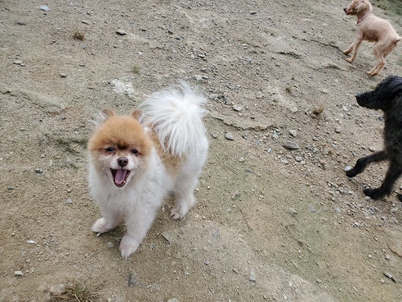 f:id:roukenhome-ann:20191002221520j:plain