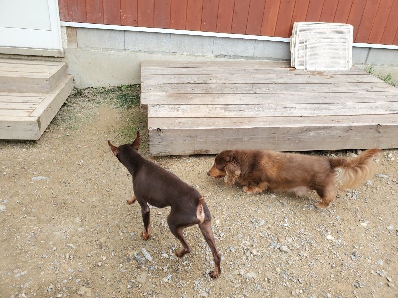 f:id:roukenhome-ann:20191002221536j:plain