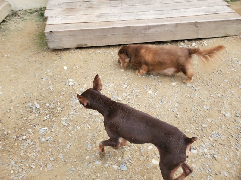 f:id:roukenhome-ann:20191002221548j:plain