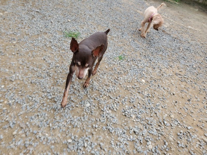f:id:roukenhome-ann:20191002221601j:plain