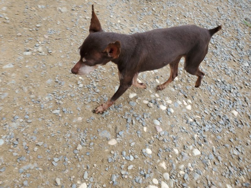 f:id:roukenhome-ann:20191002221609j:plain