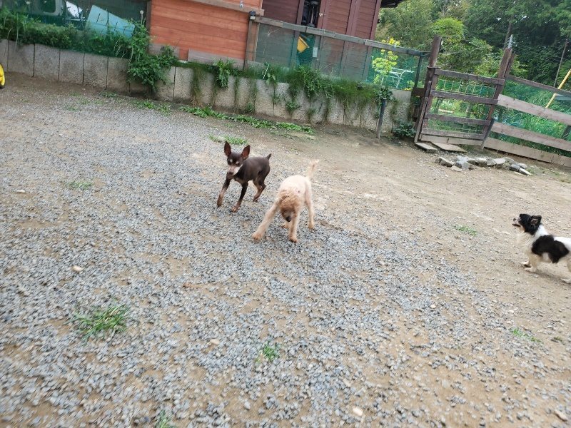f:id:roukenhome-ann:20191002221615j:plain