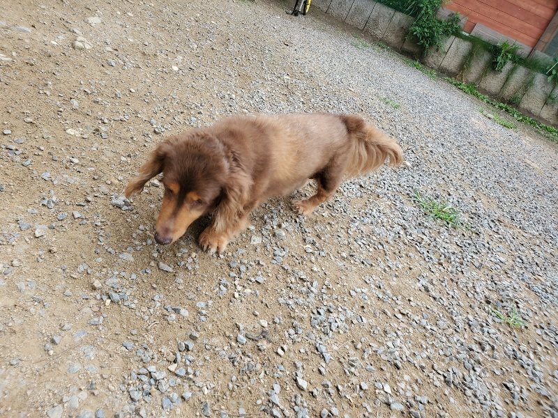 f:id:roukenhome-ann:20191002221624j:plain