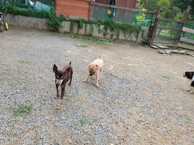 f:id:roukenhome-ann:20191002221637j:plain
