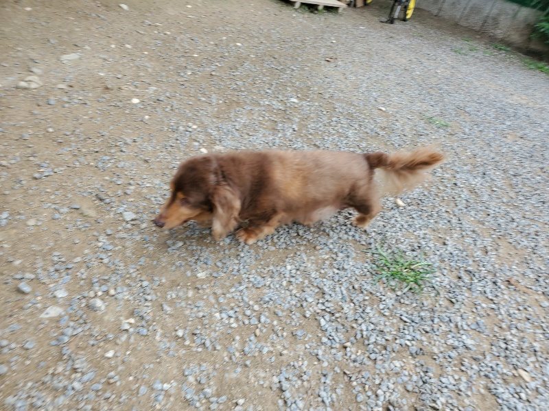 f:id:roukenhome-ann:20191002221650j:plain