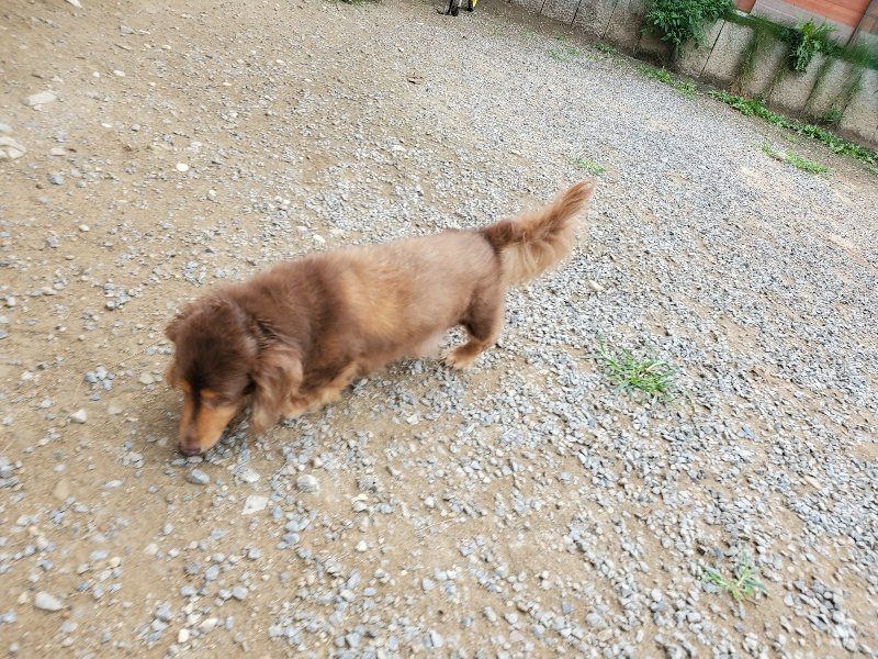 f:id:roukenhome-ann:20191002221703j:plain