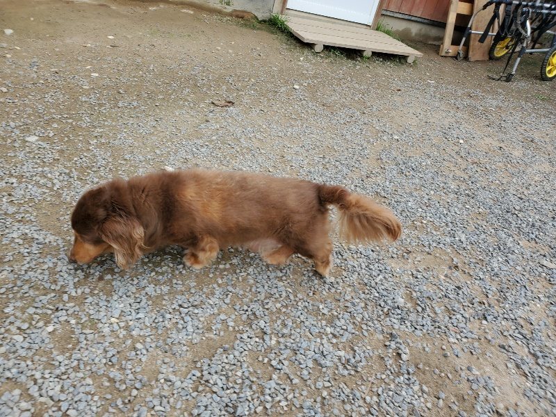 f:id:roukenhome-ann:20191002221717j:plain