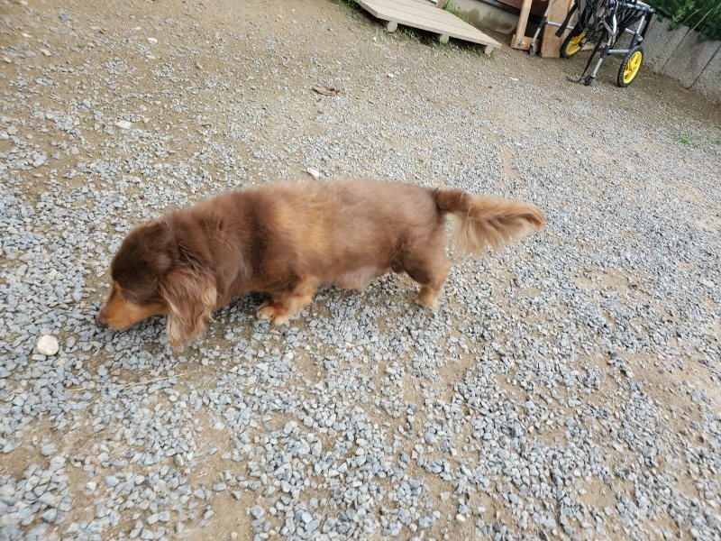 f:id:roukenhome-ann:20191002221725j:plain