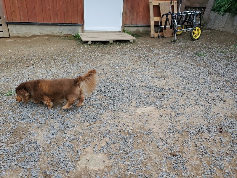 f:id:roukenhome-ann:20191002221734j:plain