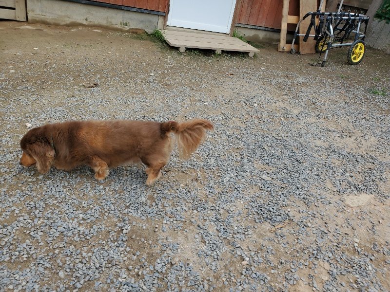 f:id:roukenhome-ann:20191002221744j:plain