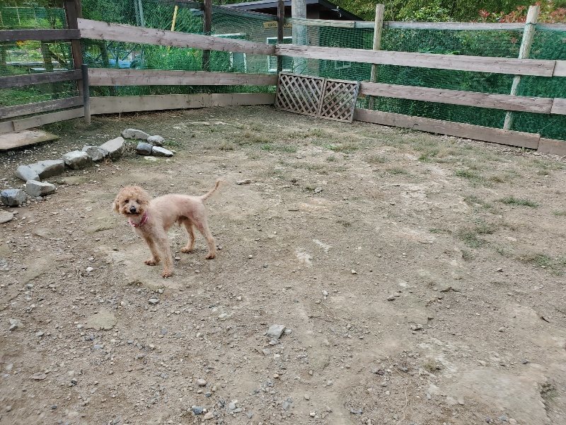 f:id:roukenhome-ann:20191002221819j:plain