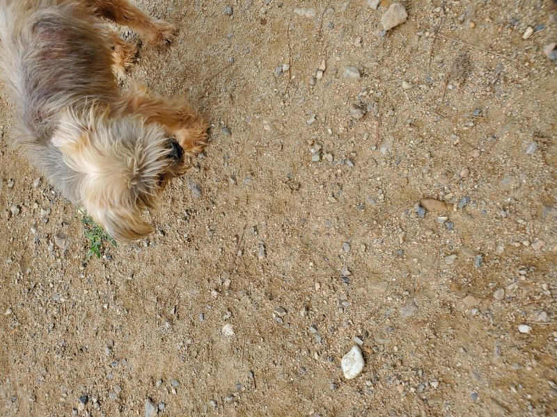 f:id:roukenhome-ann:20191002222437j:plain
