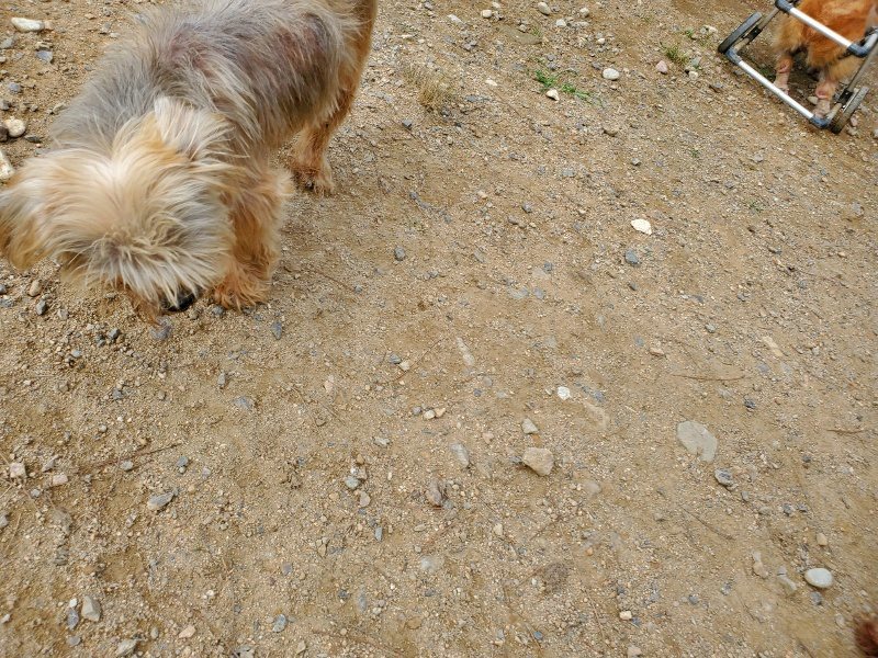 f:id:roukenhome-ann:20191002222452j:plain