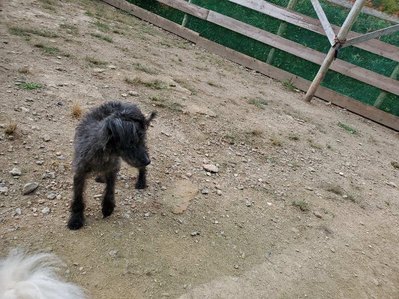 f:id:roukenhome-ann:20191002222516j:plain